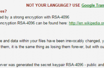 RSA-4096 ransomware virus verwijderen en decoderen